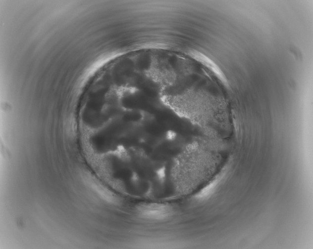 X0000091241027200708091432