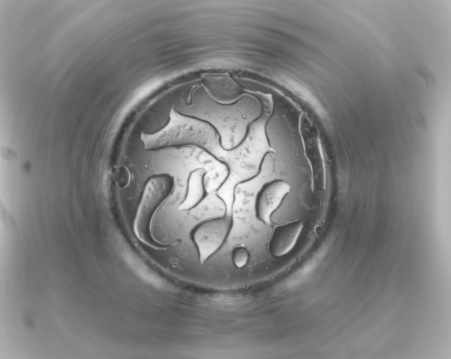 X0000091241029200708091432
