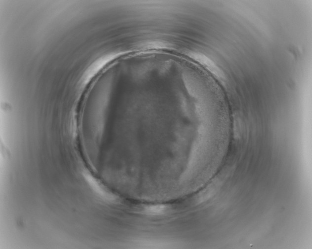 X0000091241031200708091432
