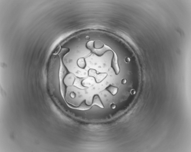 X0000091241032200708091432