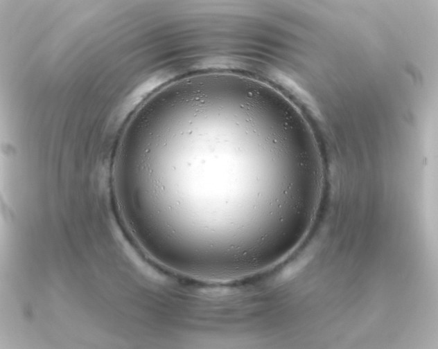 X0000091241033200708091432