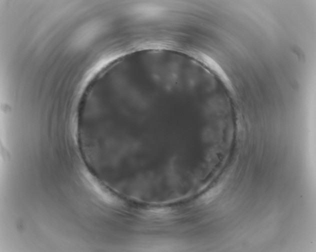 X0000091241035200708091432