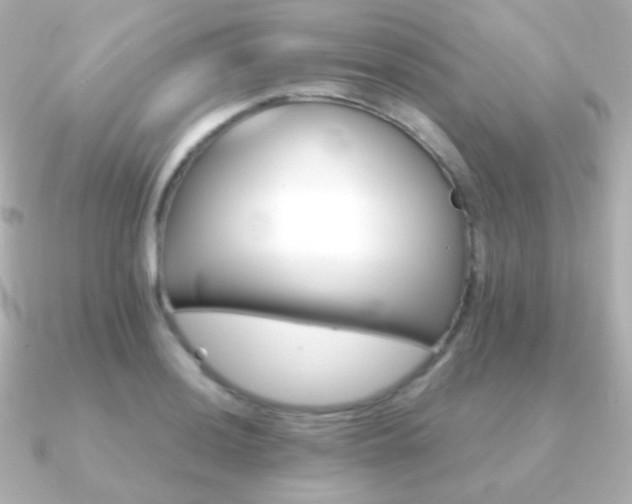 X0000091241036200708091432