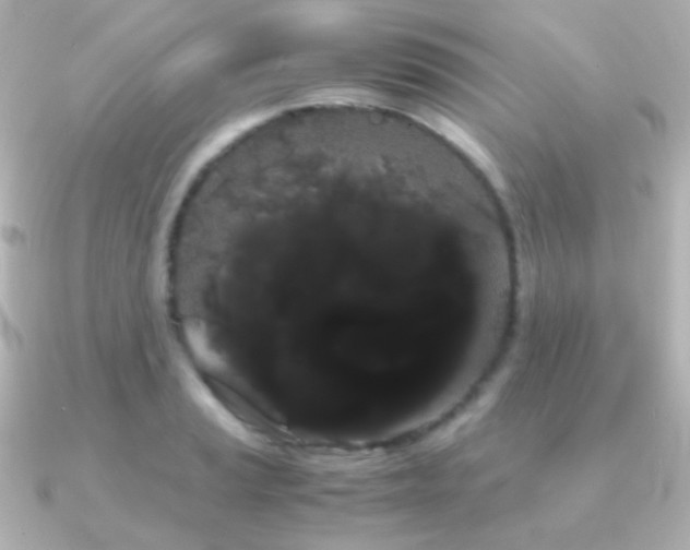 X0000091241037200708091432