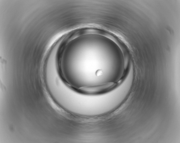 X0000091241038200708091432