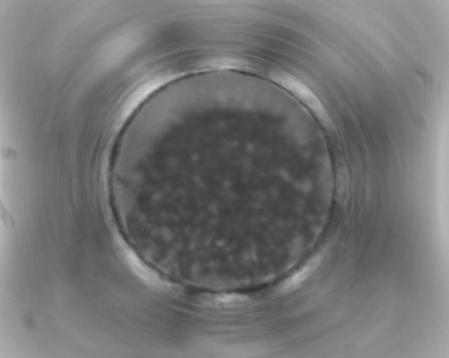 X0000091241039200708091432