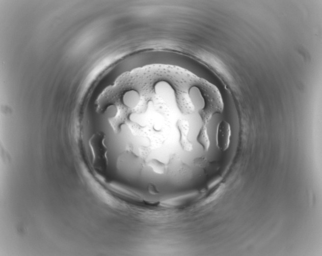 X0000091241040200708091432