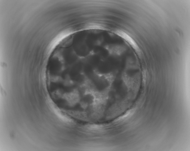 X0000091241043200708091432