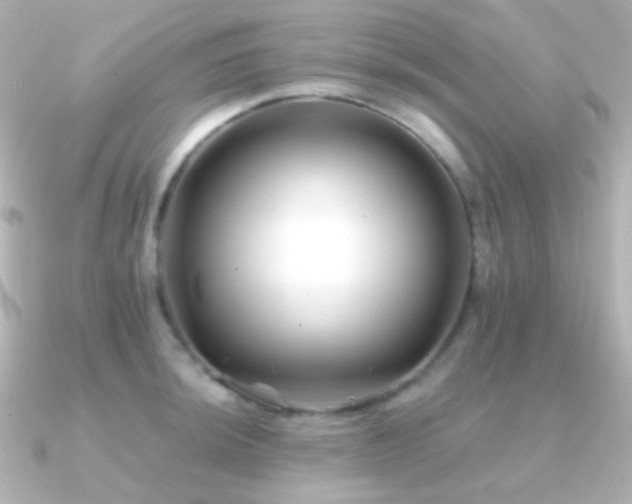 X0000091241044200708091432