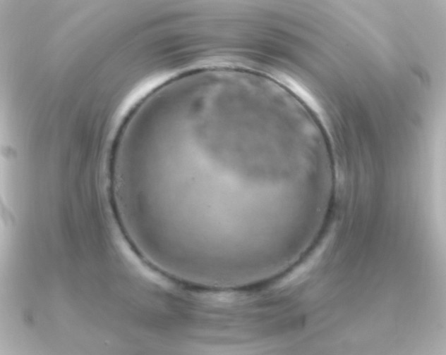 X0000091241045200708091432