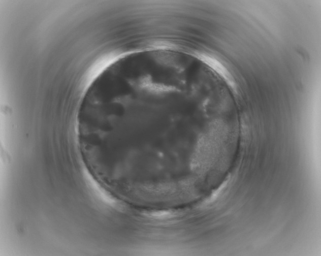 X0000091241047200708091432