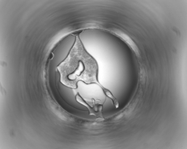 X0000091241051200708091432