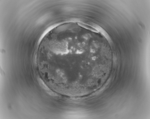 X0000091241052200708091432