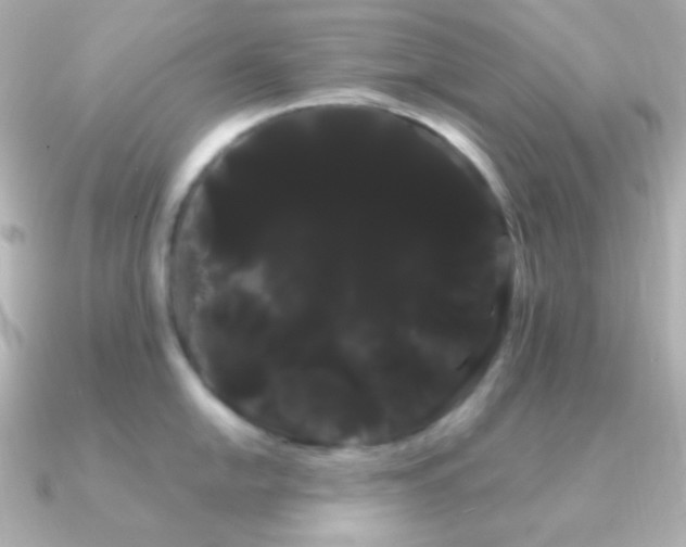 X0000091241054200708091432