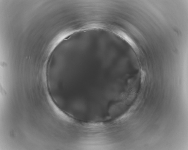 X0000091241055200708091432