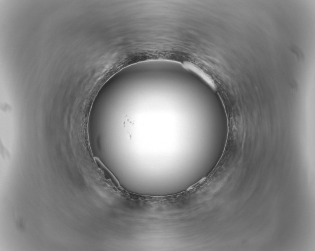 X0000091241057200708091431