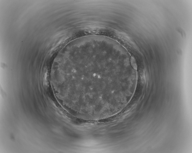 X0000091241060200708091431
