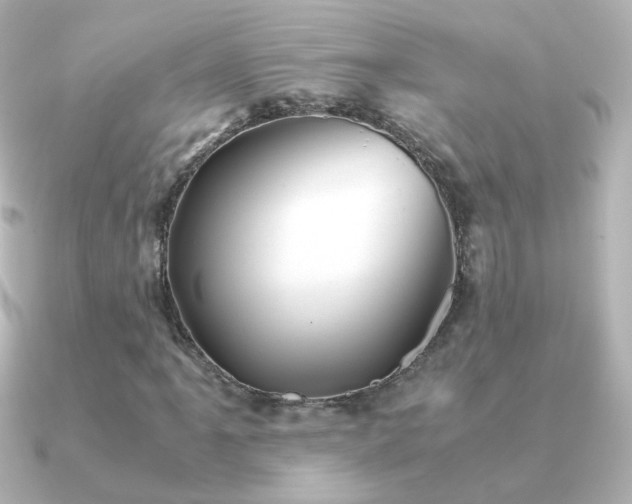 X0000091241061200708091431