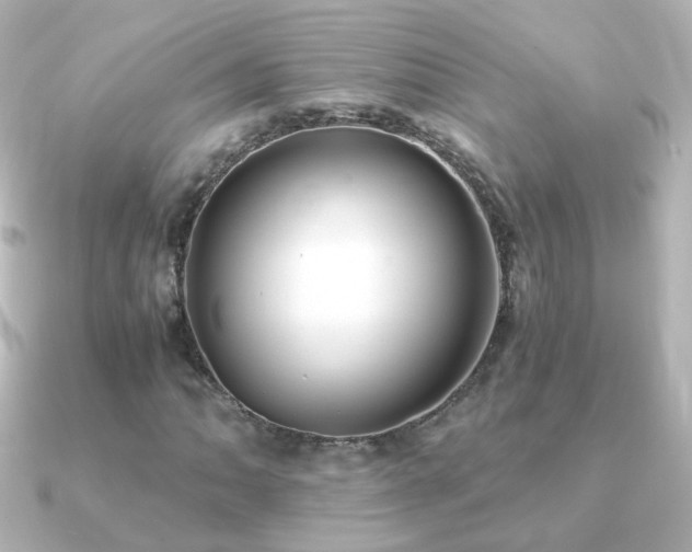 X0000091241062200708091431