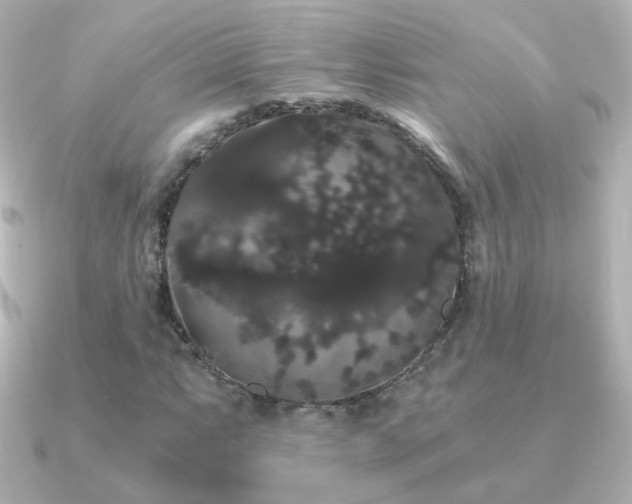 X0000091241063200708091431