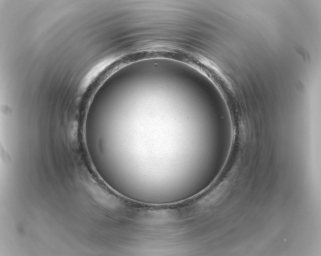 X0000091241066200708091431