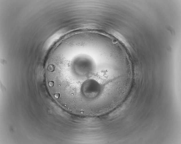 X0000091241067200708091431