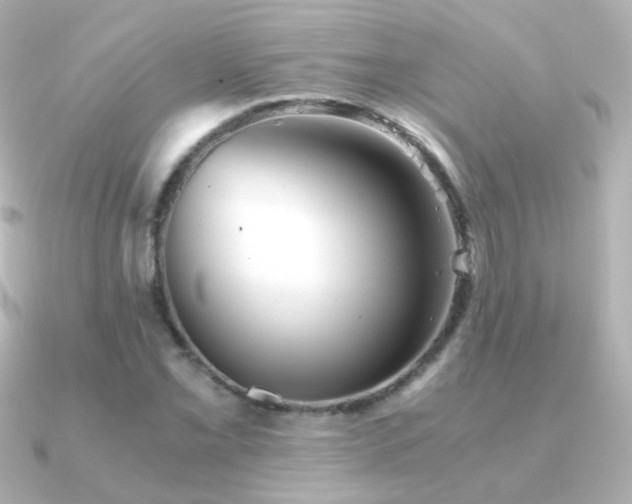 X0000091241069200708091431