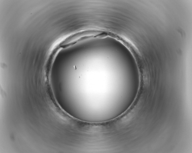 X0000091241070200708091431