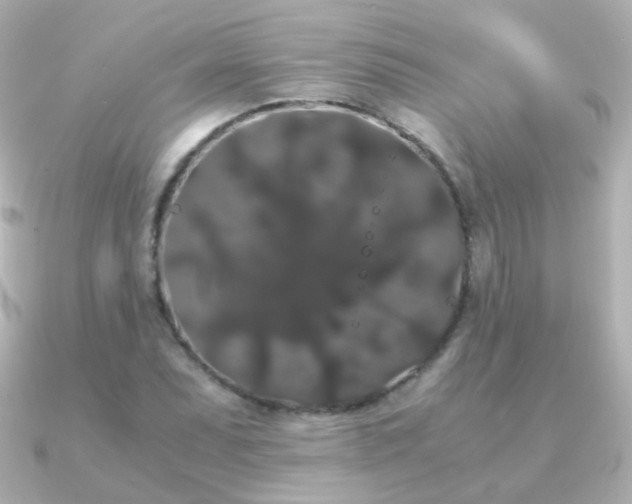 X0000091241071200708091431