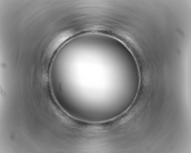 X0000091241073200708091431