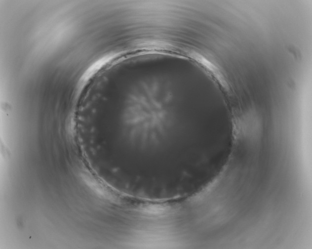 X0000091241074200708091431