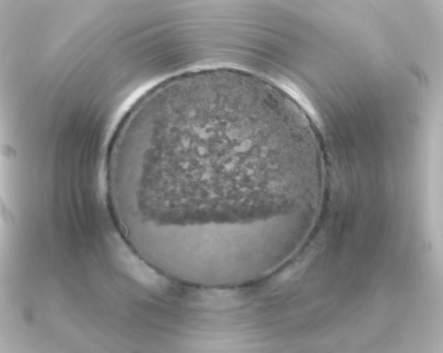 X0000091241076200708091431