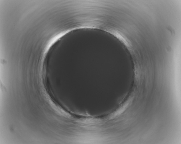 X0000091241077200708091431