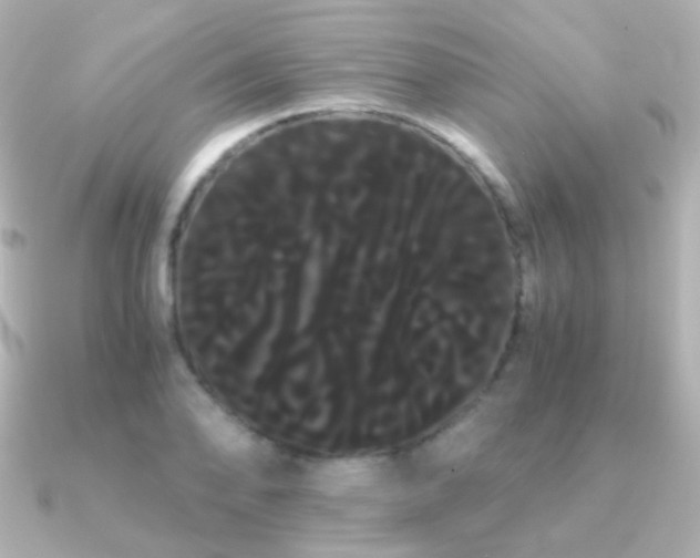 X0000091241078200708091431