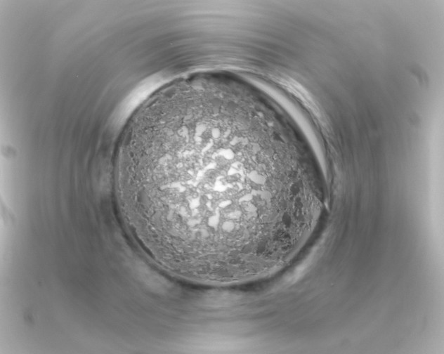 X0000091241081200708091431