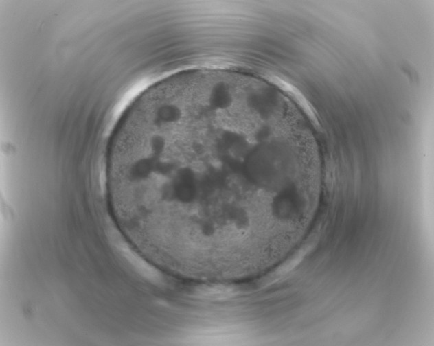 X0000091241083200708091431