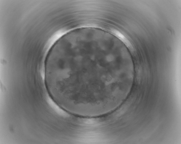 X0000091241084200708091431