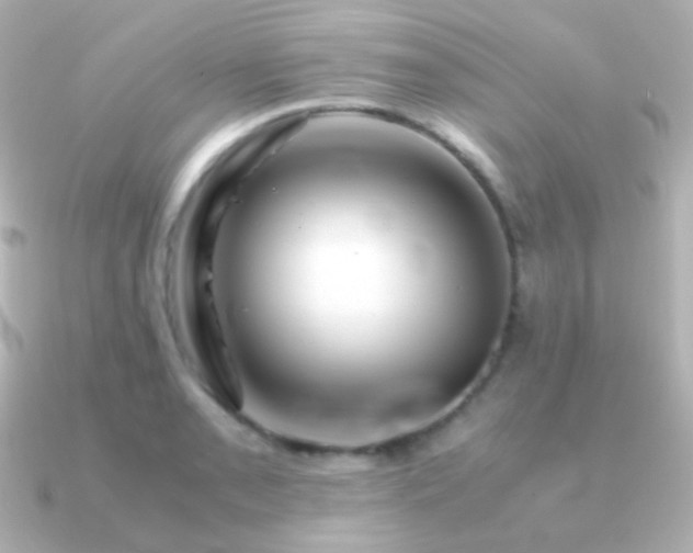 X0000091241085200708091431
