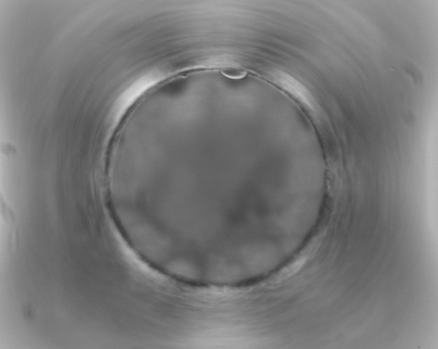 X0000091241087200708091431