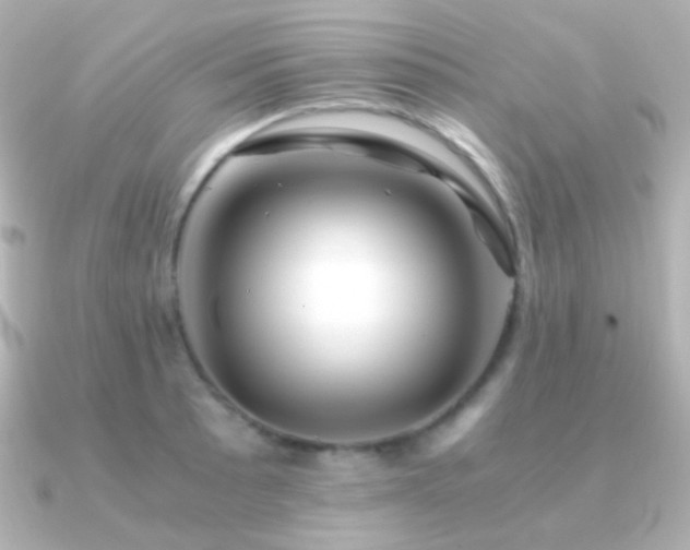 X0000091241089200708091431