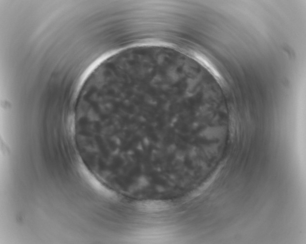 X0000091241092200708091431
