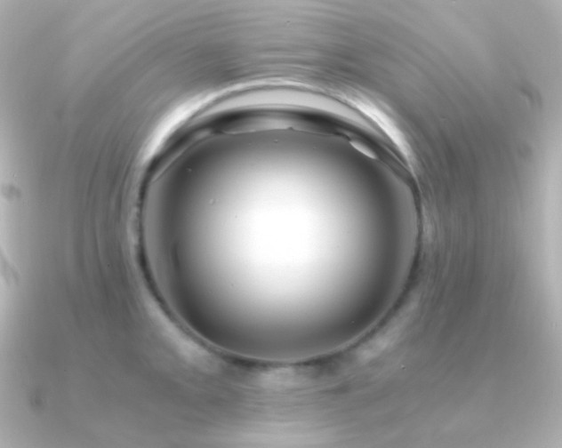 X0000091241093200708091431