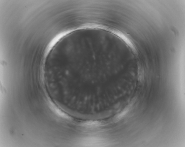 X0000091241094200708091431