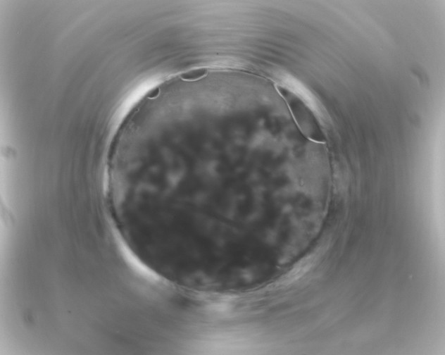 X0000091241095200708091431