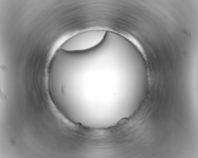 X0000091241096200708091431