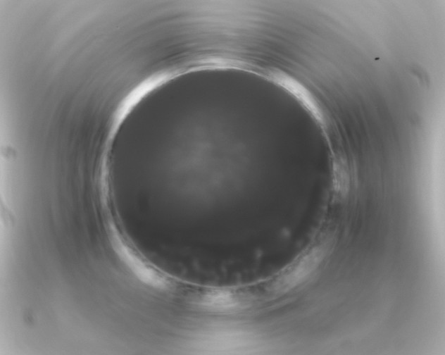 X0000091241098200708091431