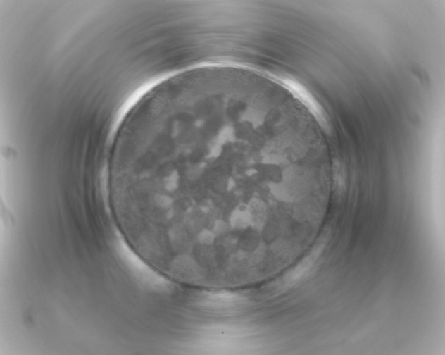X0000091241100200708091431