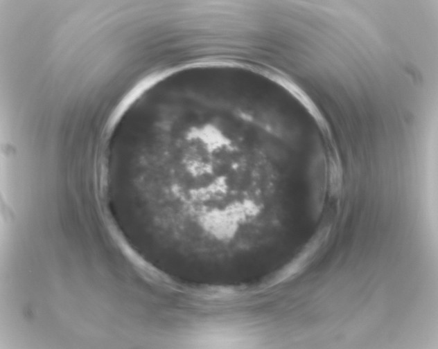 X0000091241101200708091431