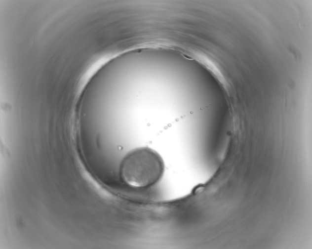 X0000091241103200708091431