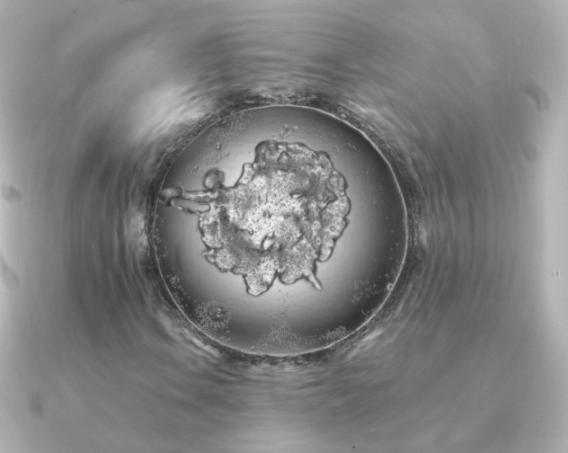 X0000091241106200708091430